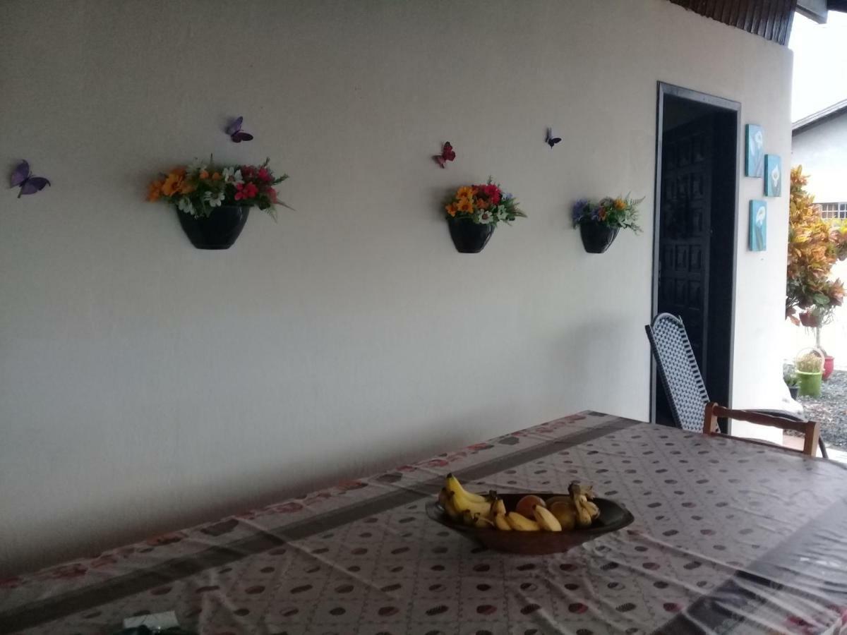 Hostel Cidade Das Flores 2 Джойнвил Екстериор снимка